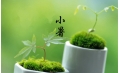 【生活預(yù)報(bào)】東方和利說天氣，今日小暑