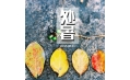 明日處暑，你舍得和夏天說再見嗎？
