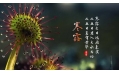 今日寒露 | 裊裊涼風(fēng)動，凄凄寒露零