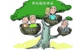 東方和利廚業(yè)用心服務(wù)? 盤錦市興隆臺(tái)區(qū)勝利社區(qū)居家養(yǎng)老服務(wù)中心——讓愛(ài)暖家